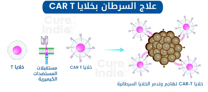كيف يعمل علاج الخلايا التائية CAR-T